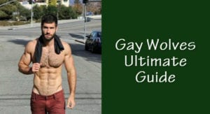 wolf gay definition